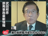 なぜマスコミは放射能汚染に関する報道をしないのか？／武田邦彦（たけだくにひこ）教授